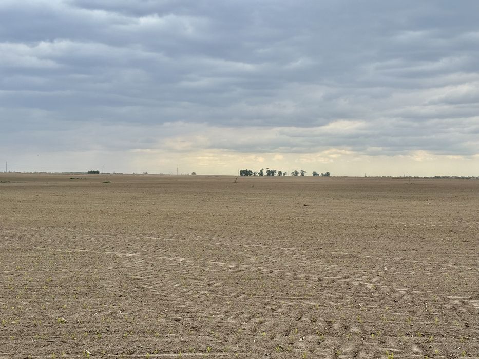 Земельна ділянка 27 га! Андріївка.