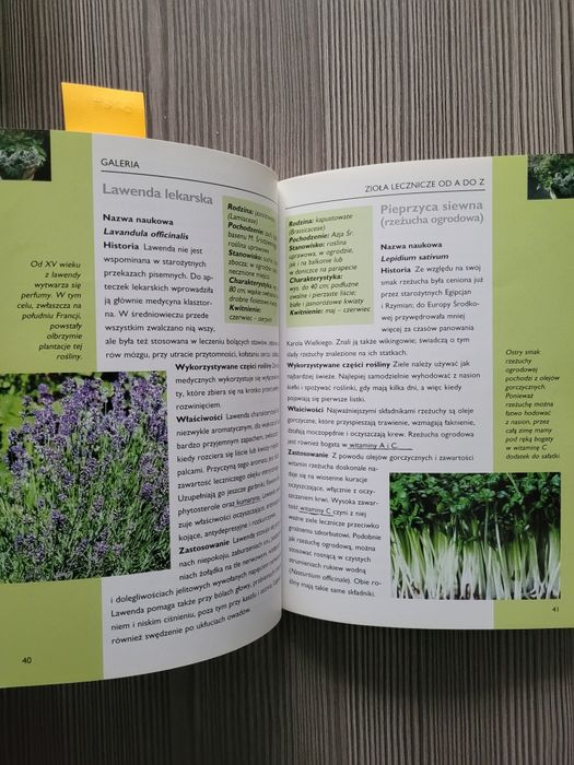 3267. "Zioła I esencje" Praca zbiorowa