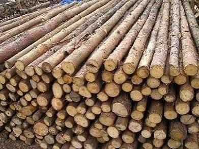 Stemple budowlane NOWE drewniane stemple