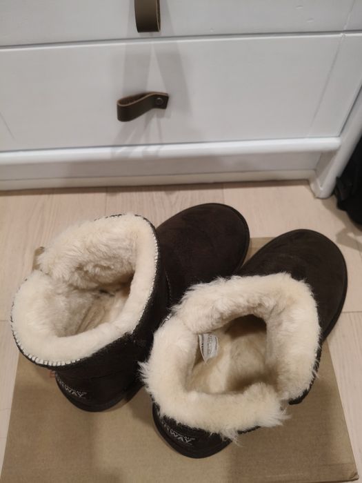 Botim de pêlo marca Norway novos