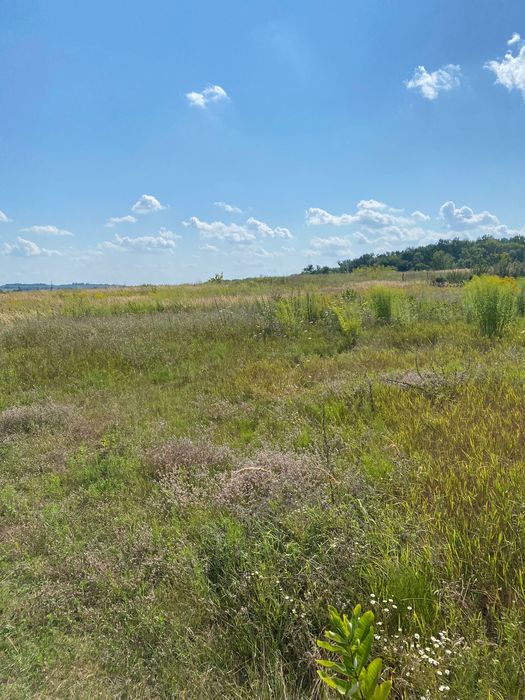 Продам земельну ділянку під забудову