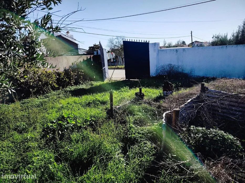 Terreno