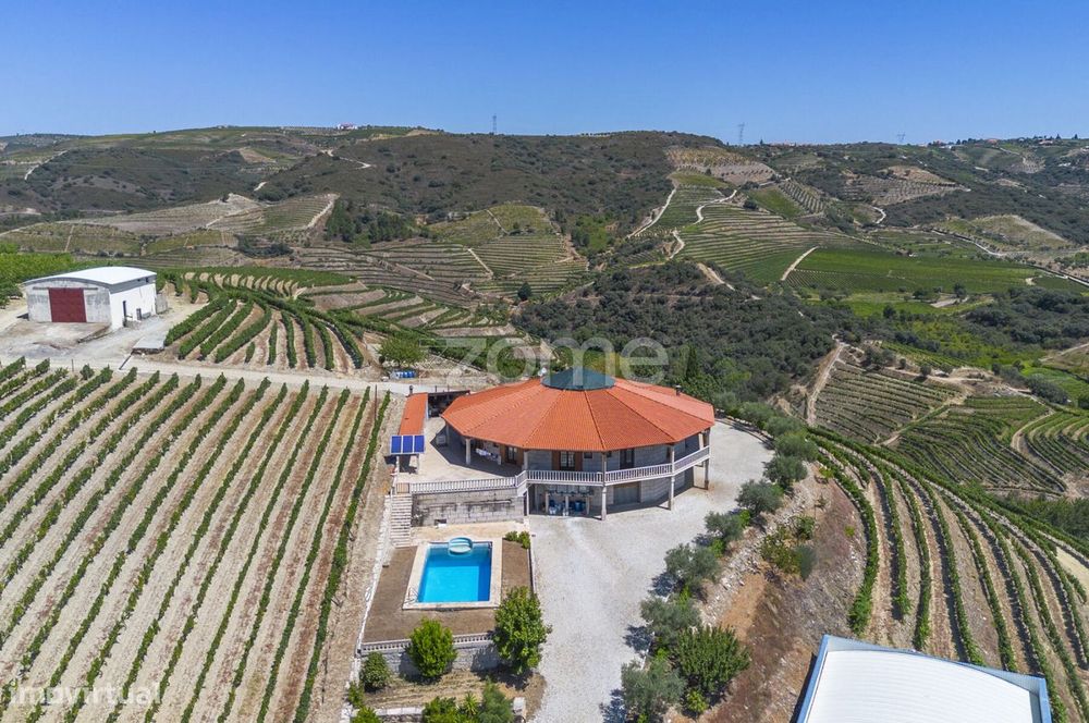 Estate with House, Swimming Pool, and Vineyard Operation