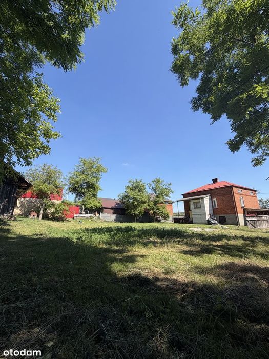 Dom z dużą działką 2906 m² blisko Bałtowa - Widok 5