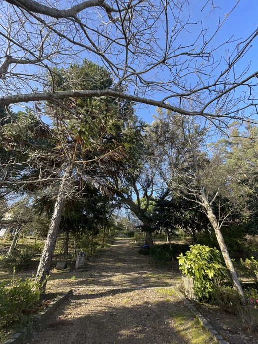 Terreno Tregosa para Construção - 1807.42m2 (Ver última foto)