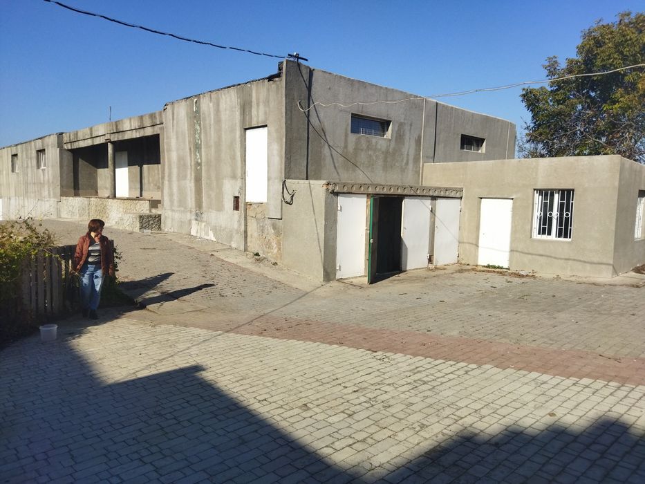 Здам в оренду овочесховище,виробничий цех та склади