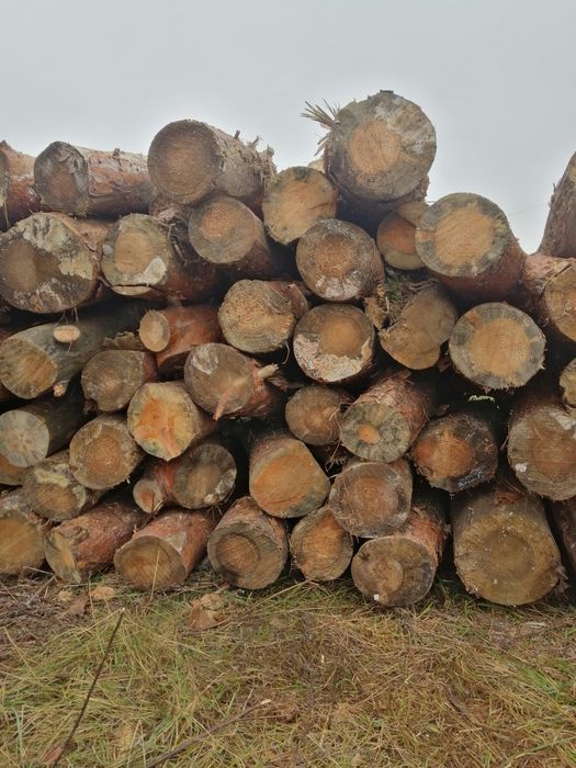 SUCHE drewno opałowe RÓŻNE!