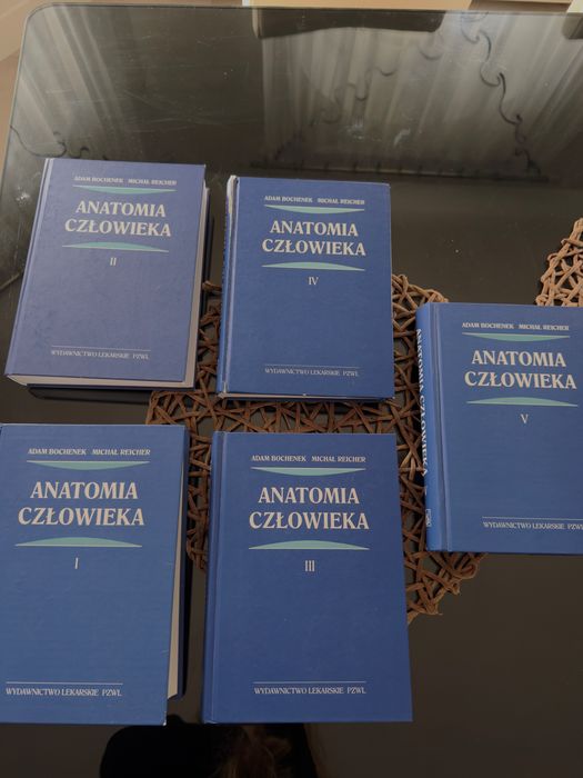 Anatomia człowieka bochenek PZWL