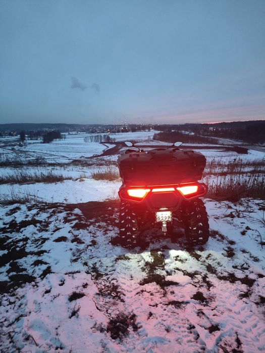 Quad  X Wolf 700