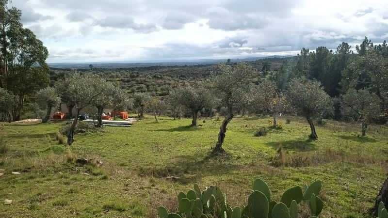 Vendo  terreno produtivo