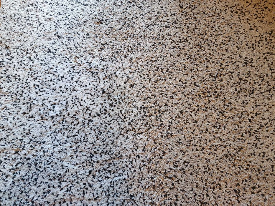 Carpete 2m x 2,70 m