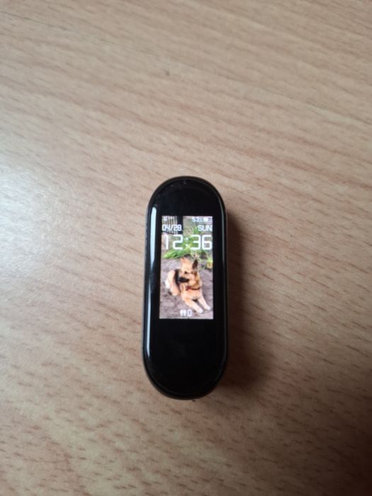 Smartwatch Xiaomi Mi Smart Band
