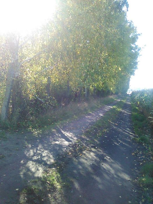 Działka budowlana z warunkami zabudowy