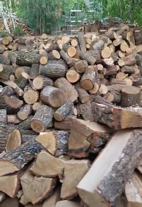 Дрова ОПТ та роздріб. ДУБ,БЕРЕЗА,ВІЛЬХА,СОСНА. 1/8/10/20 ск/м