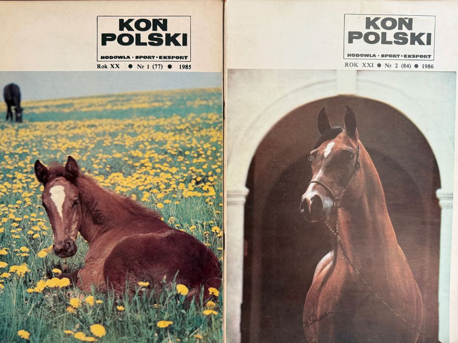 Miesięcznik Koń Polski