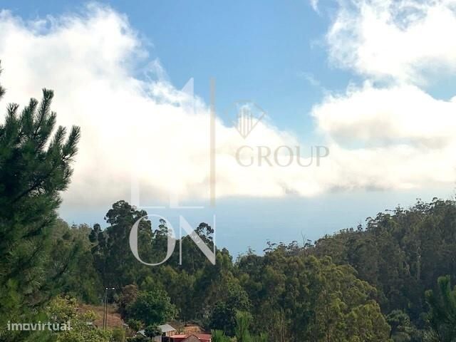 Terreno 1906m2 | com vista | zona sossegada | Santa maria Maior | Func