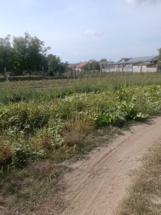 Земельна ділянка