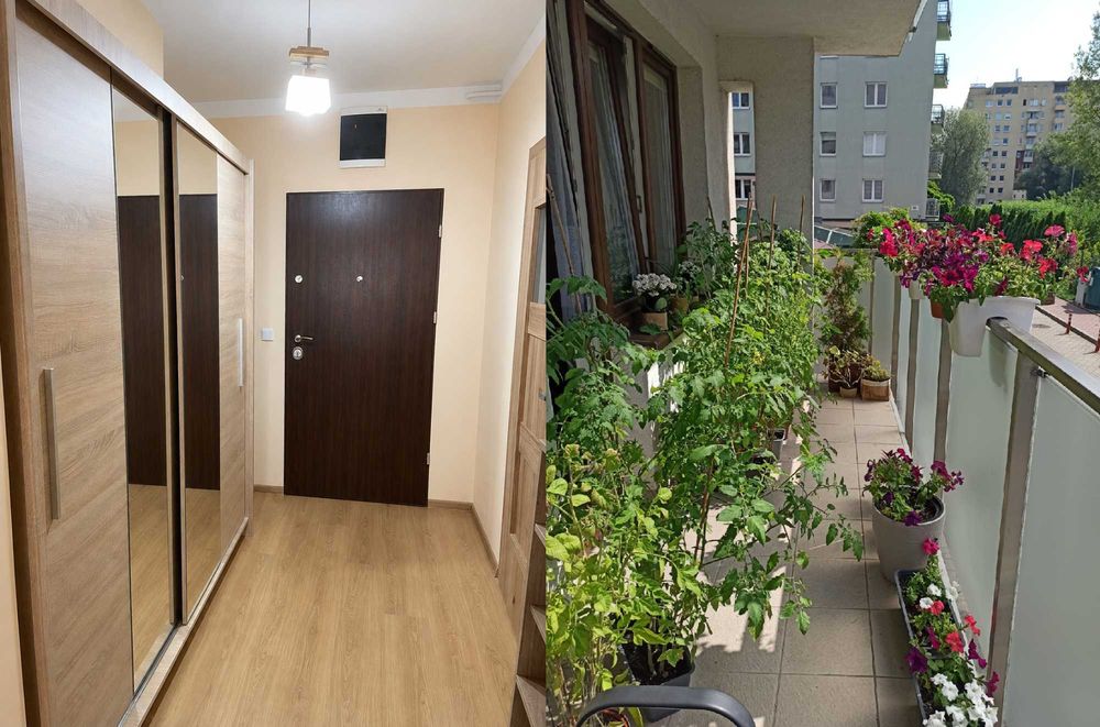 Jasne 2-pokojowe mieszkanie 52m | Balkon | Garaż | Komórka | okolice Serenady | od lipca - Więcej