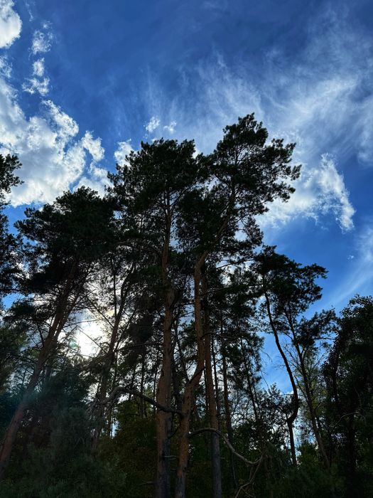 5га біля лісу та Дніпра! 20 км від Черкас