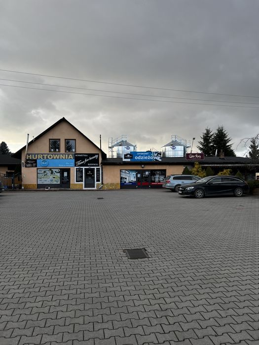 Lokal do wynajęcia
