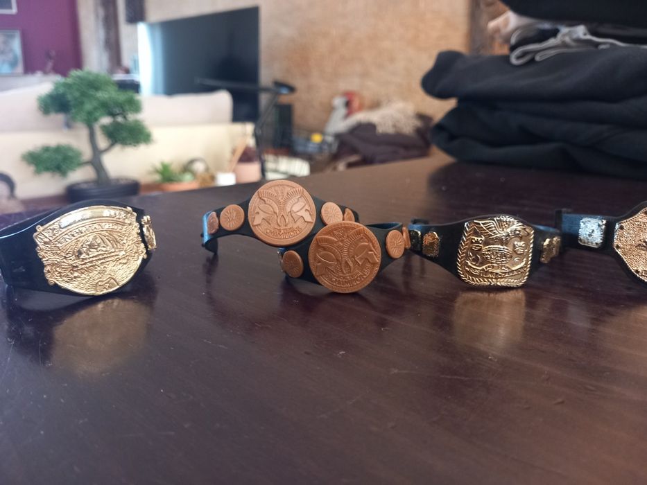 Bonecos WWE figuras coleção toys brinquedos
