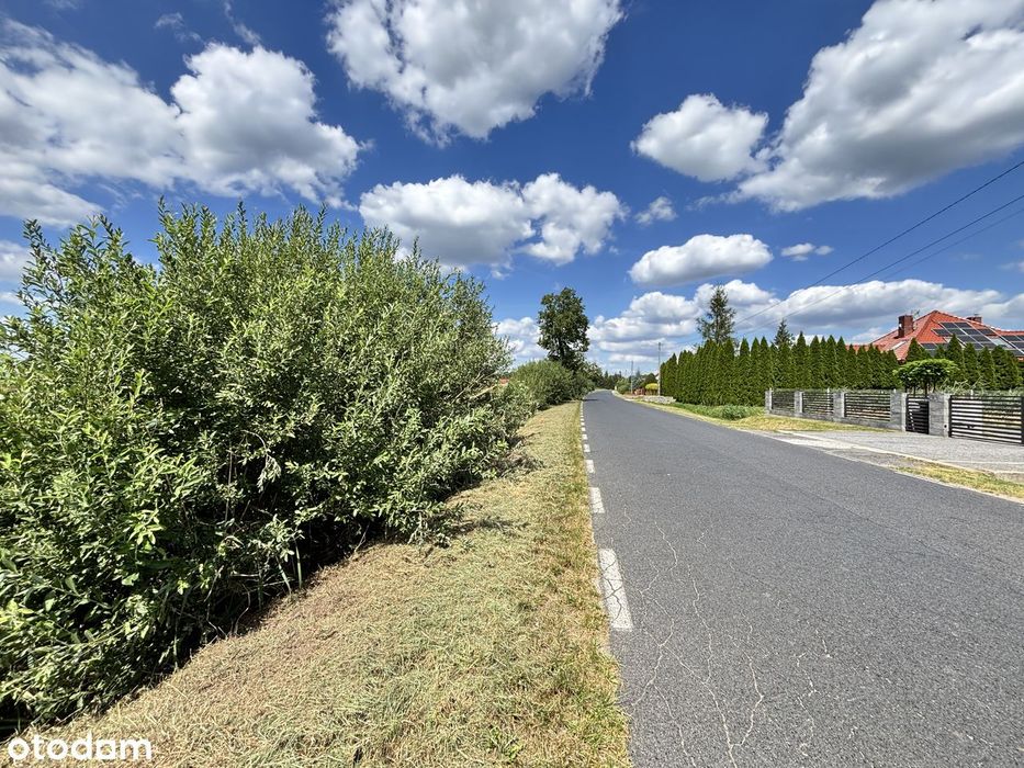 MPZP | Asfalt | 15 km do Lubina i Polkowic | Media | Nowa zabudowa - Widok 5