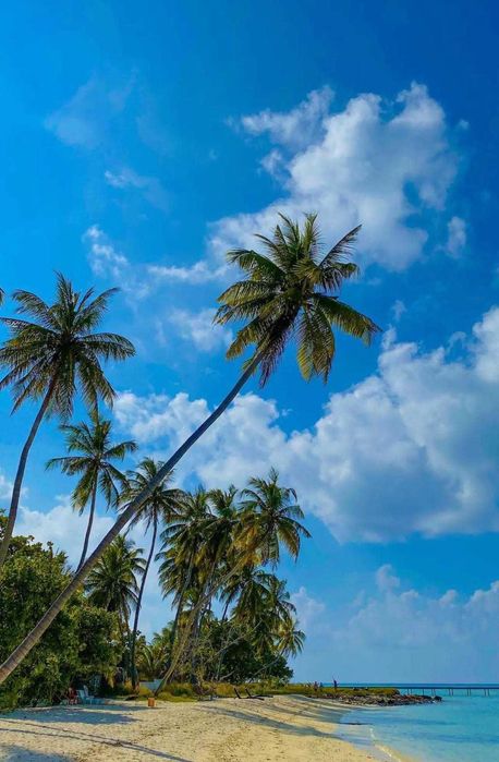 Продаж квартири, готель Radisson на Мальдівах з доходом 18% річних