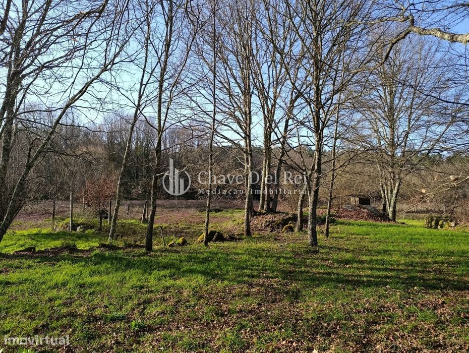 Terreno  Venda em Couto de Baixo e Couto de Cima,Viseu