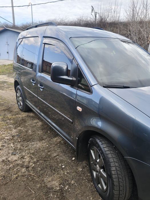 Продам каддик ухоженый