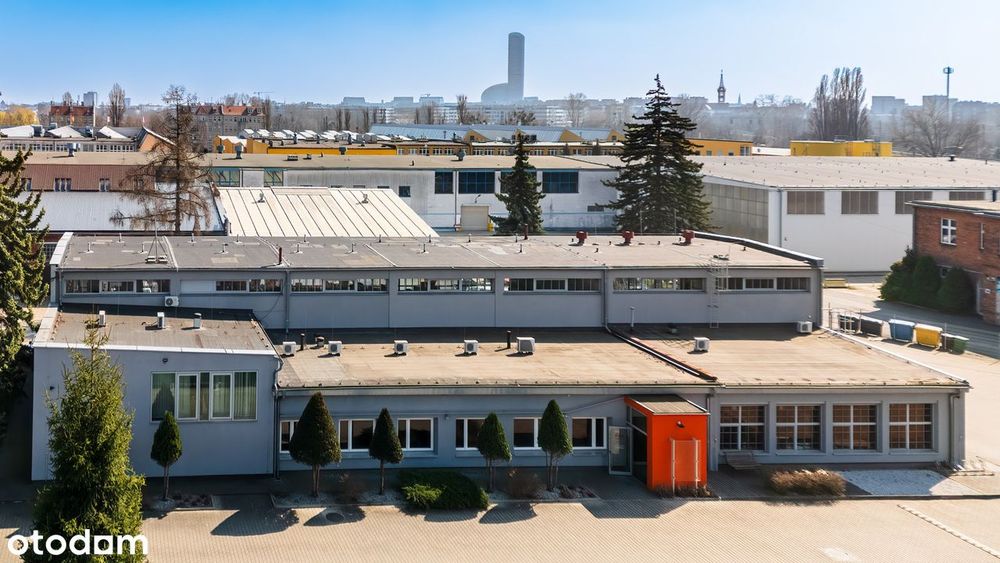 Budynek Biurowy z Magazynem (625 m2) + Hala (538 m2) + Działka 5038 m2