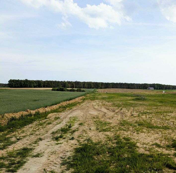 Działki budowlane z WZ (od 908 m²), Jankowo Dolne, bezpośrednio od właściciela - Widok 5