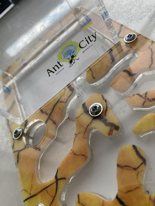 Мурашина ферма смарт сахара antcity