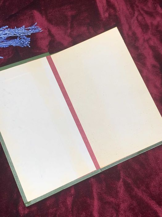 Книга «Шиацу: Японская терапия нажатием пальцами», О Намикоши самидат