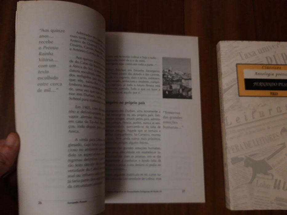 9 livros de poesia portuguesa: Manuel Alegre, Fernando Pessoa, etc.