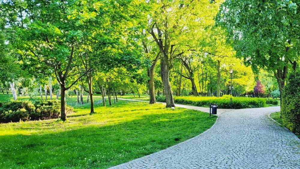 Nocleg Inowrocław -Apartament w Solankach -bezpłatny parking podziemny