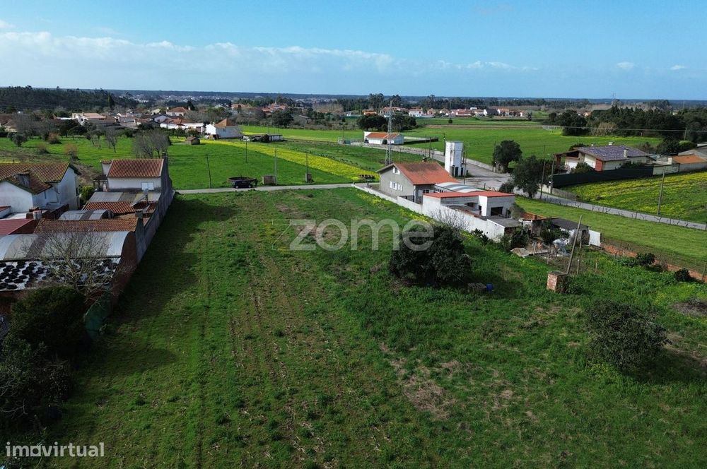 Terreno para moradia isolada ou 2 moradias geminadas_1900m2_Vagos