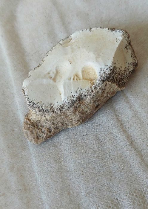 Dendrite Rock, Dendritik rock