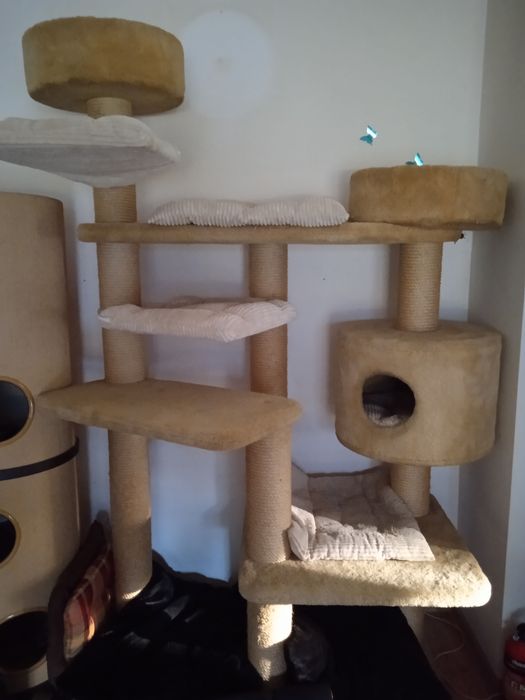 Sprzedam drapak Rufi duży