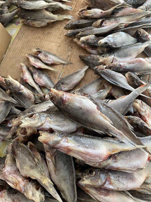 Риба копчена, сушена таранька Летичів. Гриби