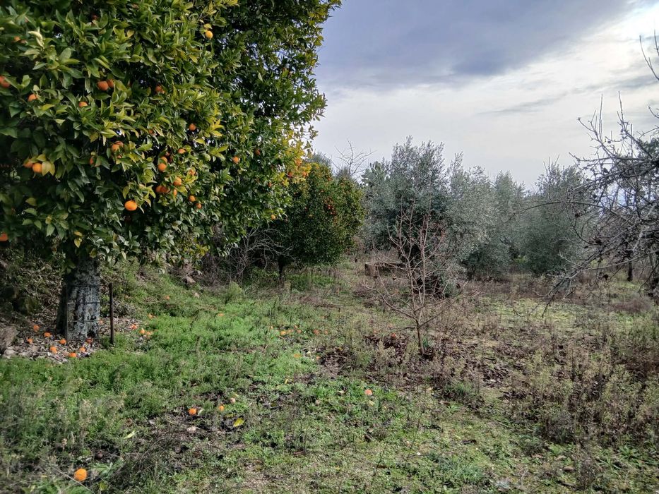 Quinta agricula com barracao