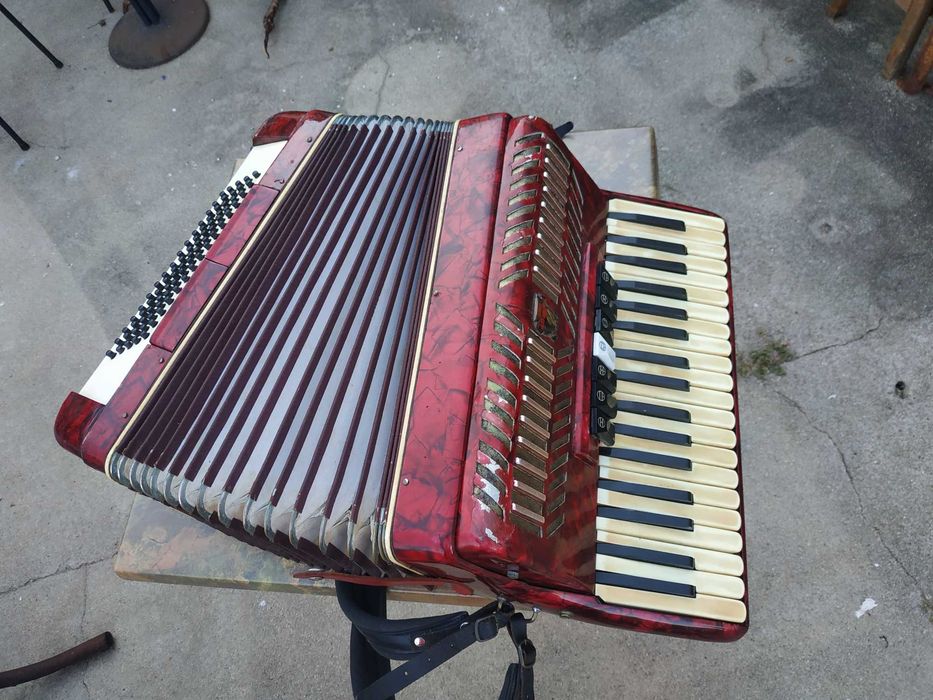 Acordeão Parrot de 80 baixos