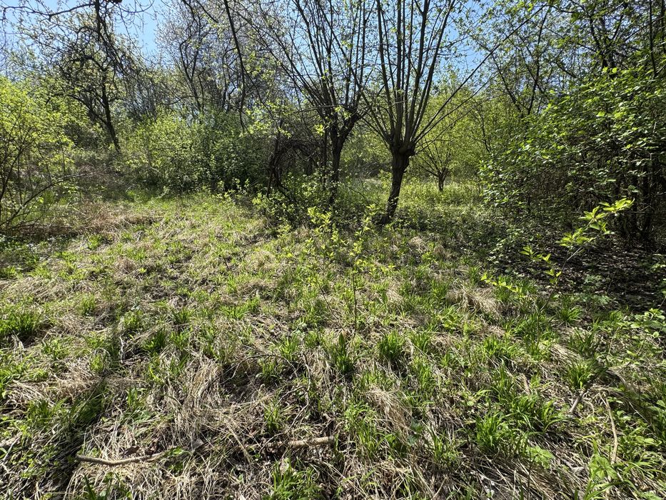 Дача в районі вулиці Стрійської Роша