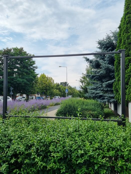 Podejmę współpracę, podnajmę pomieszczenie