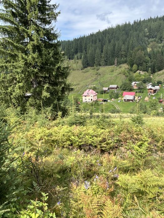 Продається 1.2 гектара з можливістю зміни цільового призначення