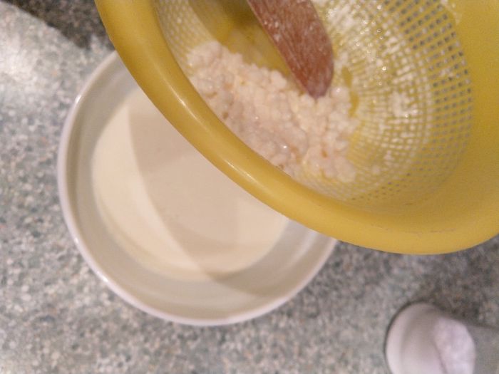 Тибетский молочный гриб для изготовления кефира