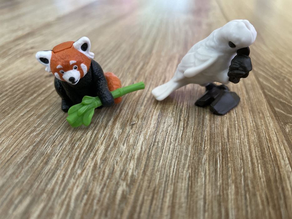 Papuga i Panda dwa zwierzaki do kolekcji