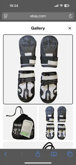 Взуття для маленької собачки alcott adventure boots