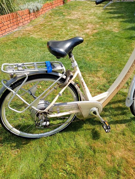 Rower elektryczny SPARTA