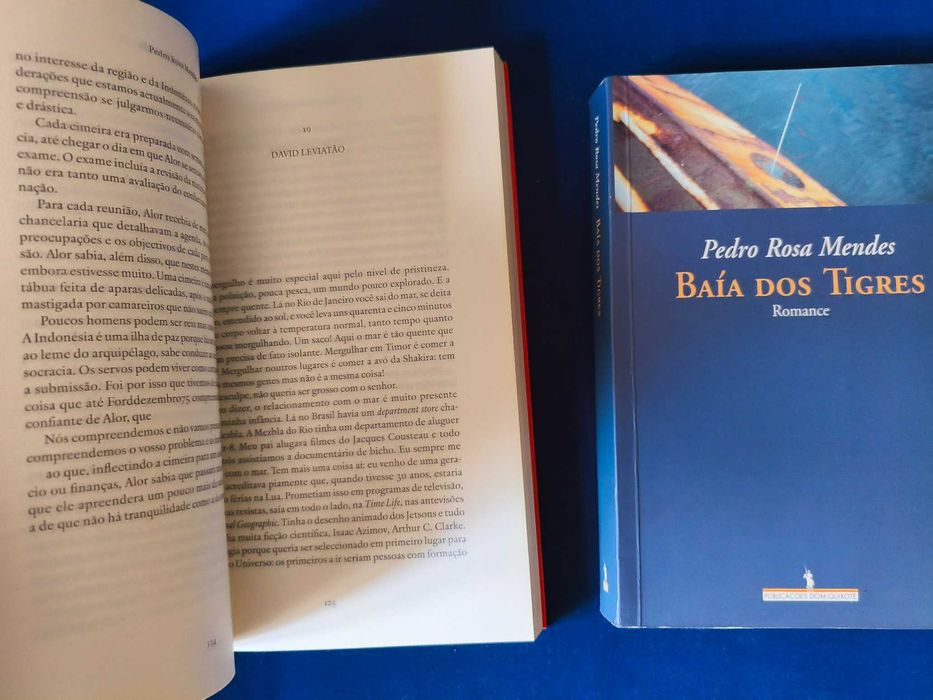 Lote 2 Livros Pedro Rosa Mendes - Grandes Obras Premiadas (Dom Quixote)