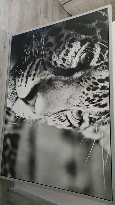 Obraz 140x100 Ikea lampart